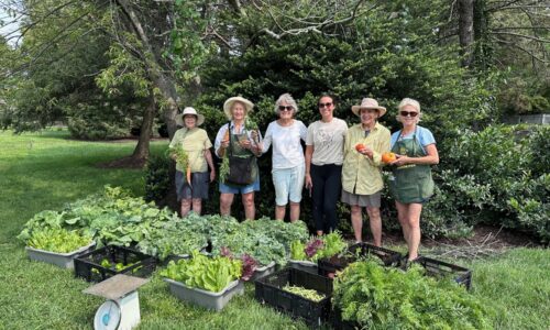 Group of people in a garden holding produce