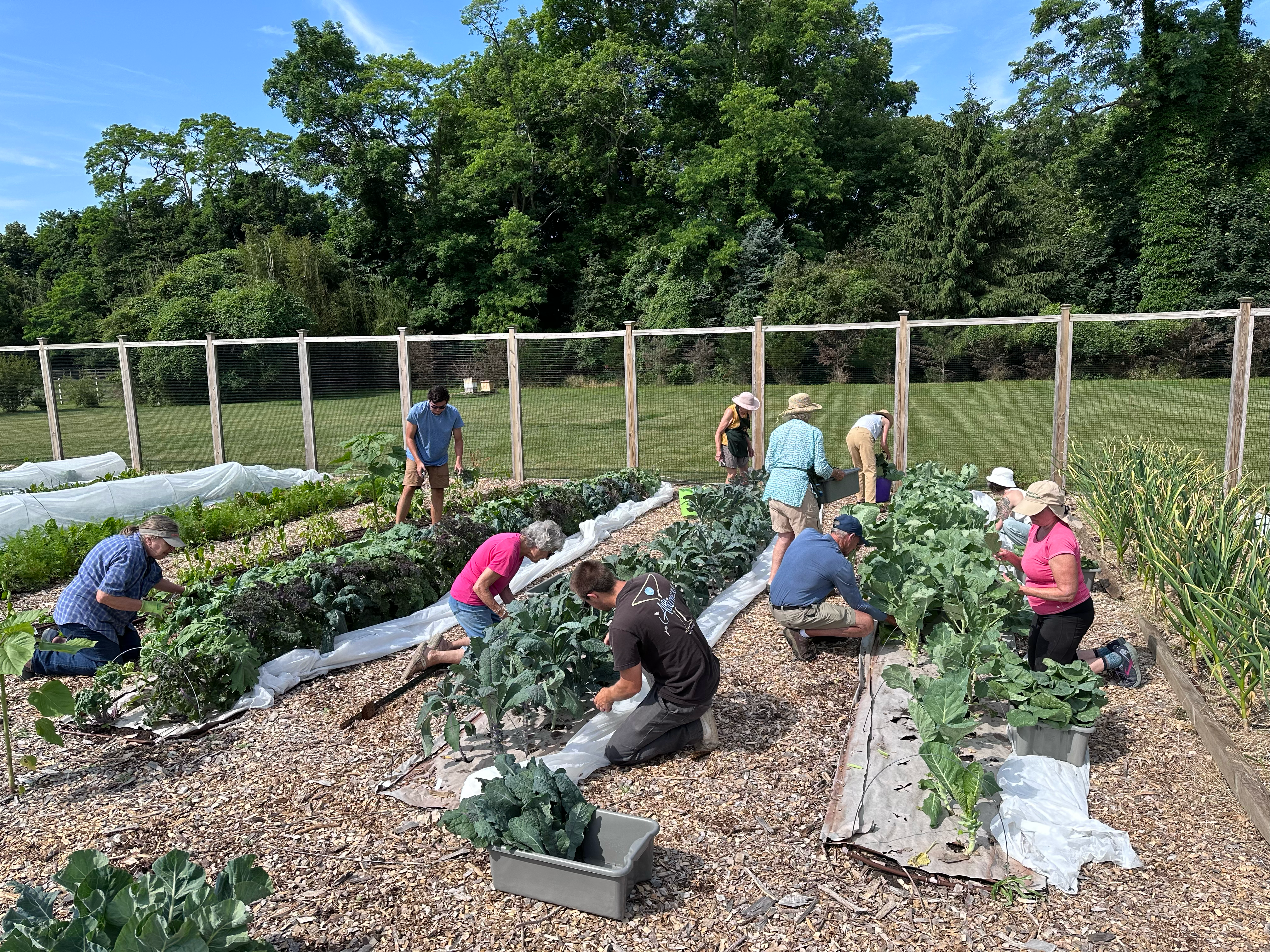 Project Citizen Gardeners At Work